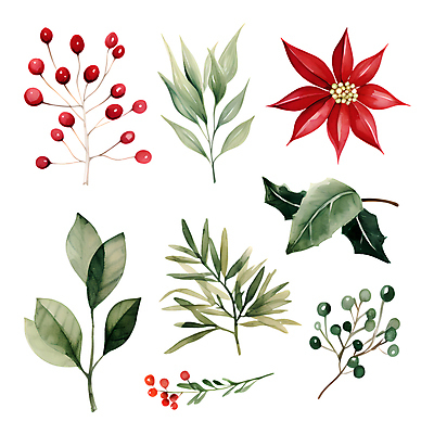 PSD 열매 스티커 크리스마스 겨울 일러스트 나뭇잎 수채화 사람없음 세트 풀잎 오브젝트 포인세티아 엘리먼트 국내일러스트 식물 계절 기념일 꽃 잎 풀_식물 파일형식