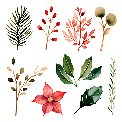 PSD 열매 스티커 크리스마스 겨울 일러스트 나뭇잎 수채화 사람없음 세트 풀잎 오브젝트 포인세티아 엘리먼트 국내일러스트 식물 계절 기념일 꽃 잎 풀_식물 파일형식
