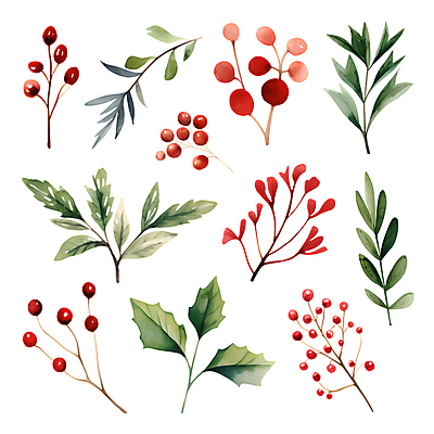 PSD 열매 꽃 스티커 크리스마스 겨울 일러스트 나뭇잎 수채화 사람없음 세트 풀잎 오브젝트 엘리먼트 국내일러스트 식물 계절 기념일 잎 풀_식물 파일형식