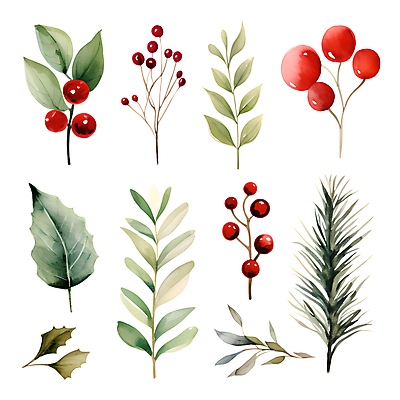 PSD 열매 스티커 크리스마스 겨울 일러스트 나뭇잎 수채화 사람없음 세트 풀잎 오브젝트 엘리먼트 국내일러스트 식물 계절 기념일 잎 풀_식물 파일형식