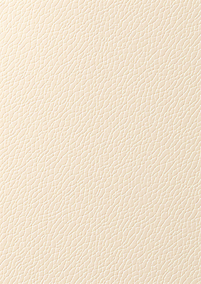 JPG 편집이미지 백그라운드 사람없음 뷰티 주름 가죽 질감 살구색 아이보리 편집실사 AI컴퓨터그래픽 AI콘텐츠 컬러 CG 파일형식