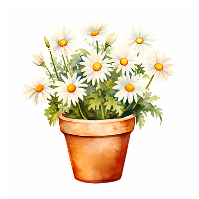 JPG 꽃 화분 일러스트 수채화 따뜻함 사람없음 희망 데이지 국내일러스트 AI일러스트 AI콘텐츠 식물 감정 파일형식