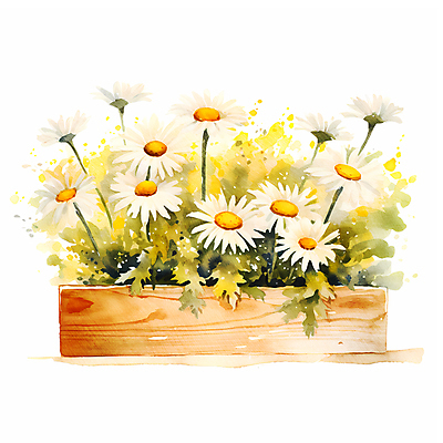 JPG 꽃 일러스트 수채화 따뜻함 사람없음 희망 나무상자 데이지 국내일러스트 AI일러스트 AI콘텐츠 식물 감정 상자 파일형식