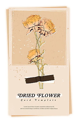 PSD 식물 꽃 일러스트 건조 사람없음 빈티지 감성 드라이플라워 베이지색 마스킹테이프 압화 국내일러스트 카드프레임 컬러 컨셉 프레임 테이프 파일형식