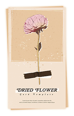 PSD 식물 꽃 일러스트 건조 사람없음 빈티지 감성 드라이플라워 베이지색 마스킹테이프 압화 국내일러스트 카드프레임 컬러 컨셉 프레임 테이프 파일형식