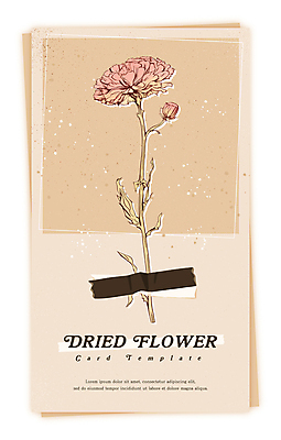 PSD 식물 꽃 일러스트 건조 사람없음 빈티지 감성 드라이플라워 베이지색 마스킹테이프 압화 국내일러스트 카드프레임 컬러 컨셉 프레임 테이프 파일형식