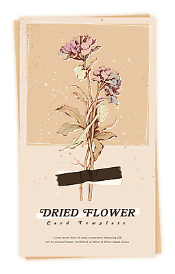 PSD 식물 꽃 일러스트 건조 사람없음 빈티지 감성 드라이플라워 베이지색 마스킹테이프 압화 국내일러스트 카드프레임 컬러 컨셉 프레임 테이프 파일형식
