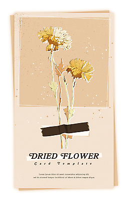 PSD 식물 꽃 일러스트 건조 사람없음 빈티지 감성 드라이플라워 베이지색 마스킹테이프 압화 국내일러스트 카드프레임 컬러 컨셉 프레임 테이프 파일형식