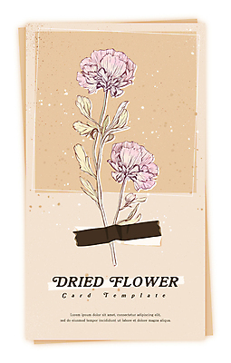 PSD 식물 꽃 일러스트 건조 사람없음 빈티지 감성 드라이플라워 베이지색 마스킹테이프 압화 국내일러스트 카드프레임 컬러 컨셉 프레임 테이프 파일형식
