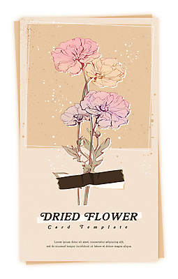 PSD 식물 꽃 일러스트 건조 사람없음 빈티지 감성 드라이플라워 베이지색 마스킹테이프 압화 국내일러스트 카드프레임 컬러 컨셉 프레임 테이프 파일형식