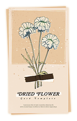 PSD 식물 꽃 일러스트 건조 사람없음 빈티지 감성 드라이플라워 베이지색 마스킹테이프 압화 국내일러스트 카드프레임 컬러 컨셉 프레임 테이프 파일형식