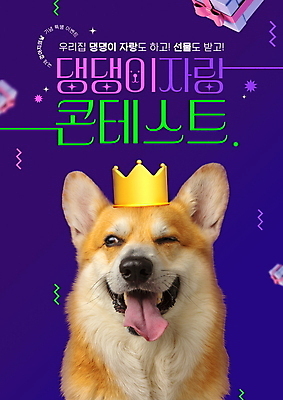 PSD 편집이미지 한마리 반려견 왕관 윙크 입벌림 이벤트 타이포그라피 사람없음 선물상자 반려동물 보라색 강아지 메롱 웰시코기 자랑 이미지편집 동물 문자 1 컬러 모션 표정 선물 상자 개 파일형식