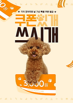 PSD 편집이미지 한마리 응시 반려견 이벤트 타이포그라피 사람없음 반려동물 주황색 개 강아지 쿠폰 푸들 개발바닥 개발자국 이미지편집 동물 문자 1 시선 컬러 포유류 발자국 발바닥 파일형식