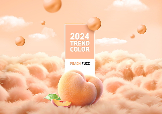PSD 구름 편집이미지 하늘 프레임 털 사람없음 유행 원형 복숭아 부드러움 2024년 트렌드컬러 피치퍼즈 이미지편집 자연요소 도형 컬러 과일 감각 연도 파일형식
