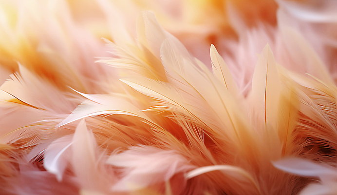 JPG 편집이미지 사람없음 깃털 디지털합성 부드러움 편집소스 피치퍼즈 편집실사 AI포토 AI콘텐츠 감각 CG 파일형식 트렌드컬러