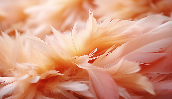 JPG 편집이미지 사람없음 깃털 디지털합성 부드러움 편집소스 피치퍼즈 편집실사 AI포토 AI콘텐츠 감각 CG 파일형식 트렌드컬러