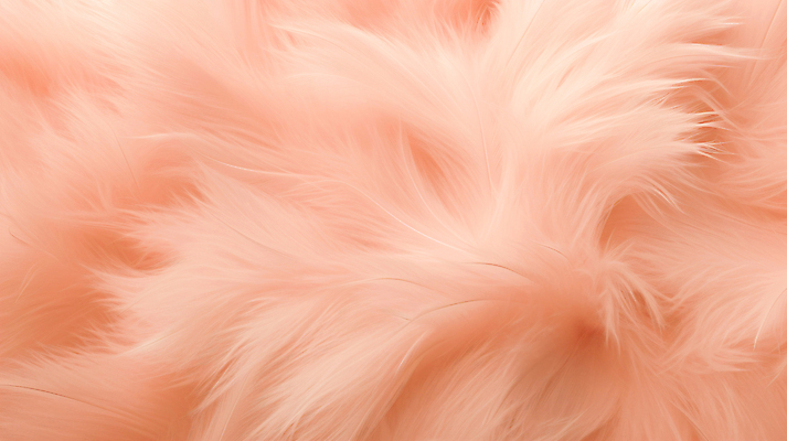 JPG 편집이미지 백그라운드 털 사람없음 디지털합성 질감 부드러움 트렌드컬러 피치퍼즈 편집실사 AI포토 AI콘텐츠 컬러 감각 CG 파일형식