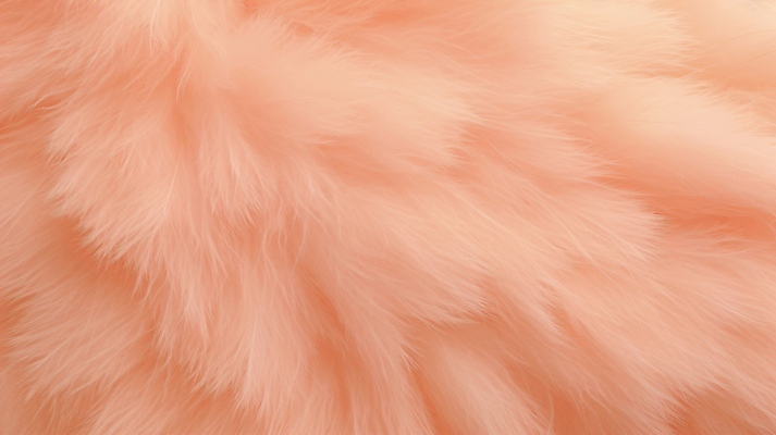 JPG 편집이미지 백그라운드 털 사람없음 디지털합성 질감 부드러움 트렌드컬러 피치퍼즈 편집실사 AI포토 AI콘텐츠 컬러 감각 CG 파일형식