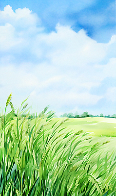 JPG 구름 백그라운드 일러스트 자연 하늘 산 풍경 초원 사람없음 여름 맑음 봄 풀 보리밭 청보리밭 국내일러스트 AI일러스트 AI콘텐츠 자연요소 식물 계절 밭 날씨 생태계 보리 파일형식