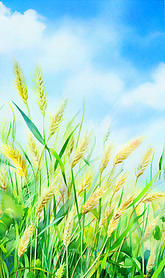 JPG 구름 백그라운드 일러스트 자연 하늘 풍경 초원 사람없음 여름 맑음 봄 풀 보리밭 청보리밭 국내일러스트 AI일러스트 AI콘텐츠 자연요소 식물 계절 밭 날씨 생태계 보리 파일형식