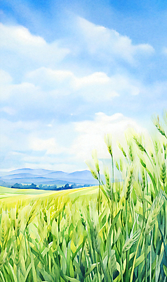JPG 구름 백그라운드 일러스트 자연 하늘 산 풍경 초원 사람없음 여름 맑음 봄 풀 보리밭 청보리밭 국내일러스트 AI일러스트 AI콘텐츠 자연요소 식물 계절 밭 날씨 생태계 보리 파일형식
