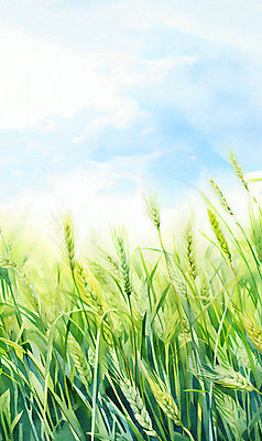 JPG 구름 백그라운드 일러스트 자연 하늘 풍경 초원 사람없음 여름 맑음 봄 풀 보리밭 청보리밭 국내일러스트 AI일러스트 AI콘텐츠 자연요소 식물 계절 밭 날씨 생태계 보리 파일형식