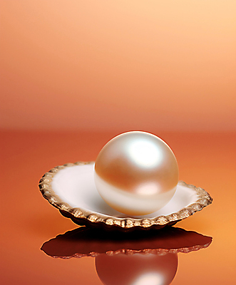 JPG 편집이미지 장신구 사람없음 반사 주황색 조개껍데기 보석 디지털합성 진주 진주조개 편집실사 AI포토 AI콘텐츠 컬러 조개 광석 CG 파일형식