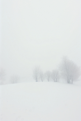 JPG 나무 백그라운드 설경 겨울 일러스트 자연 풍경 사람없음 설원 고요 추위 흰색 눈 국내일러스트 AI일러스트 AI콘텐츠 자연요소 식물 계절 컬러 날씨 눈_날씨 생태계 파일형식