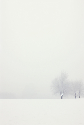 JPG 나무 백그라운드 설경 겨울 일러스트 자연 풍경 사람없음 설원 고요 추위 흰색 눈 국내일러스트 AI일러스트 AI콘텐츠 자연요소 식물 계절 컬러 날씨 눈_날씨 생태계 파일형식