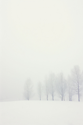 JPG 나무 백그라운드 설경 겨울 일러스트 자연 풍경 사람없음 설원 고요 추위 흰색 눈 국내일러스트 AI일러스트 AI콘텐츠 자연요소 식물 계절 컬러 날씨 눈_날씨 생태계 파일형식