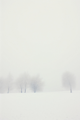 JPG 나무 백그라운드 설경 겨울 일러스트 자연 풍경 사람없음 설원 고요 추위 흰색 눈 국내일러스트 AI일러스트 AI콘텐츠 자연요소 식물 계절 컬러 날씨 눈_날씨 생태계 파일형식