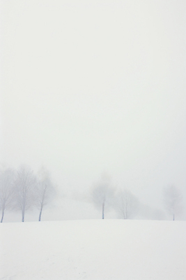 JPG 나무 백그라운드 설경 겨울 일러스트 자연 풍경 사람없음 설원 고요 추위 흰색 눈 국내일러스트 AI일러스트 AI콘텐츠 자연요소 식물 계절 컬러 날씨 눈_날씨 생태계 파일형식