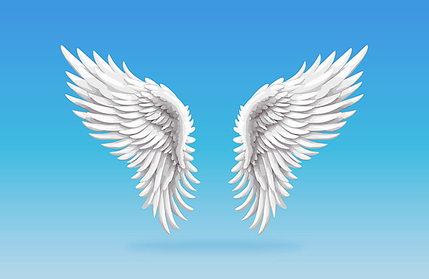 날개 일러스트 사람없음 화려 천사날개 국내일러스트 AI파일 컨셉 천사 파일형식 벡터