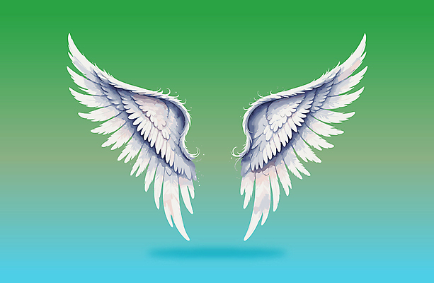 날개 일러스트 사람없음 화려 천사날개 국내일러스트 AI파일 컨셉 천사 파일형식 벡터