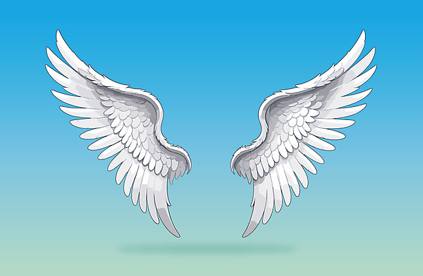 날개 일러스트 사람없음 화려 천사날개 국내일러스트 AI파일 컨셉 천사 파일형식 벡터