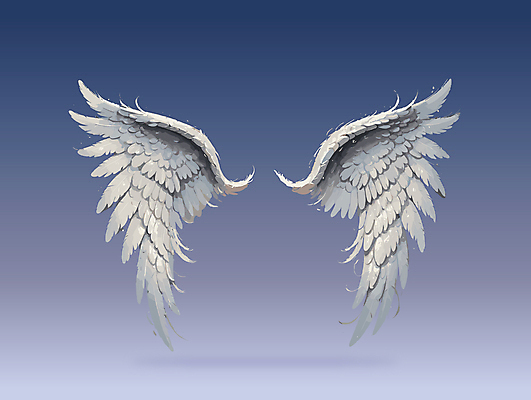 날개 일러스트 사람없음 화려 천사날개 국내일러스트 AI파일 컨셉 천사 파일형식 벡터