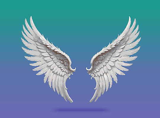 날개 일러스트 사람없음 화려 천사날개 국내일러스트 AI파일 컨셉 천사 파일형식 벡터