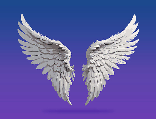날개 일러스트 사람없음 화려 천사날개 국내일러스트 AI파일 컨셉 천사 파일형식 벡터