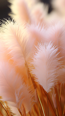 JPG 편집이미지 백그라운드 자연 사람없음 디지털합성 팜파스그라스 편집소스 피치퍼즈 편집실사 AI포토 AI콘텐츠 식물 CG 생태계 파일형식 트렌드컬러