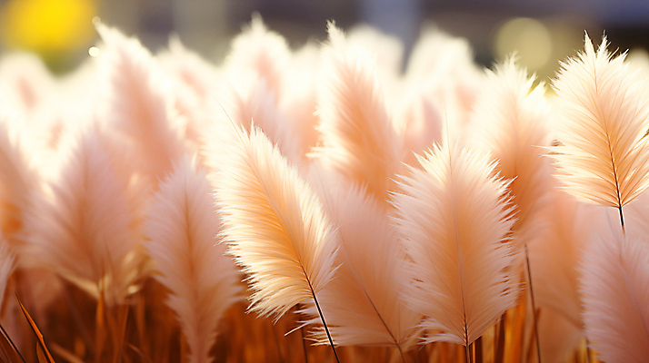 JPG 편집이미지 백그라운드 자연 사람없음 디지털합성 팜파스그라스 편집소스 피치퍼즈 편집실사 AI포토 AI콘텐츠 식물 CG 생태계 파일형식 트렌드컬러