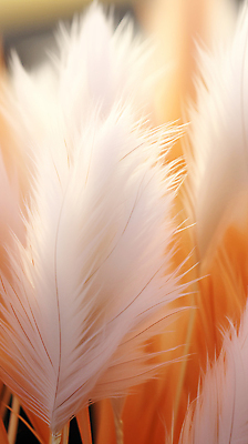 JPG 편집이미지 백그라운드 자연 사람없음 디지털합성 팜파스그라스 편집소스 피치퍼즈 편집실사 AI포토 AI콘텐츠 식물 CG 생태계 파일형식 트렌드컬러