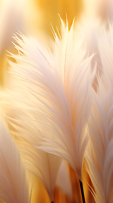 JPG 편집이미지 백그라운드 자연 사람없음 디지털합성 팜파스그라스 편집소스 피치퍼즈 편집실사 AI포토 AI콘텐츠 식물 CG 생태계 파일형식 트렌드컬러