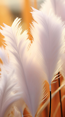 JPG 편집이미지 백그라운드 자연 사람없음 디지털합성 팜파스그라스 편집소스 피치퍼즈 편집실사 AI포토 AI콘텐츠 식물 CG 생태계 파일형식 트렌드컬러