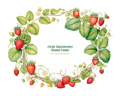 PSD 식물 잎 과일 일러스트 딸기 프레임 사람없음 빈티지 감성 국내일러스트 컨셉 파일형식