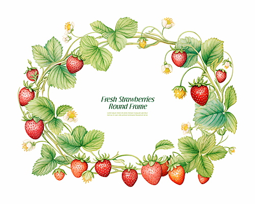 PSD 식물 잎 과일 일러스트 딸기 프레임 사람없음 빈티지 감성 딸기꽃 국내일러스트 꽃 컨셉 파일형식
