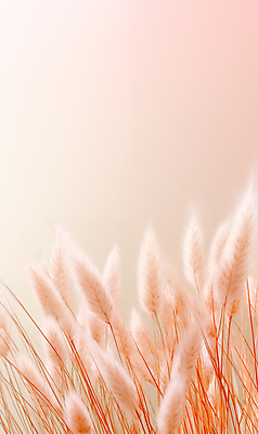 JPG 편집이미지 자연 풍경 사람없음 가을 억새 블러효과 트렌드컬러 피치퍼즈 편집실사 AI포토 AI콘텐츠 식물 계절 컬러 CG 생태계 블러 파일형식 효과