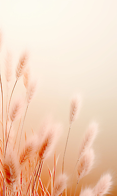 JPG 편집이미지 자연 풍경 사람없음 가을 억새 블러효과 트렌드컬러 피치퍼즈 편집실사 AI포토 AI콘텐츠 식물 계절 컬러 CG 생태계 블러 파일형식 효과