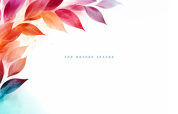 PSD 식물 잎 일러스트 수채화 사람없음 컬러풀 풀 감성 카피스페이스 국내일러스트 컬러 컨셉 공백 파일형식