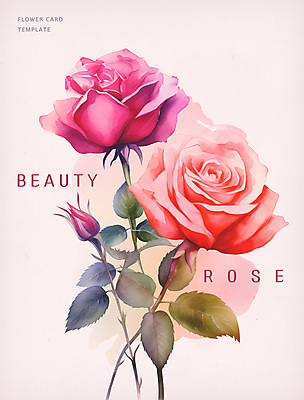 PSD 꽃 분홍색 일러스트 수채화 사람없음 장미 분위기 번짐 감성 국내일러스트 식물 컬러 컨셉 파일형식 효과