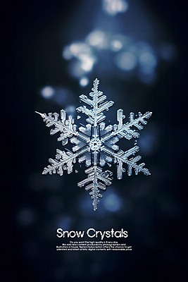 PSD 편집이미지 겨울 사람없음 눈 눈송이 스노우 카피스페이스 이미지편집 자연요소 계절 날씨 눈_날씨 공백 파일형식